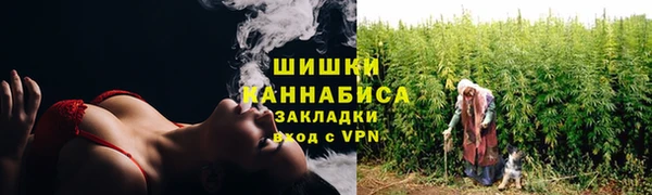 прущие грибы Верхнеуральск