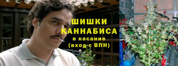 прущие грибы Верхнеуральск