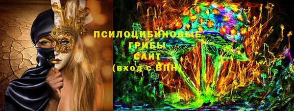 прущие грибы Верхнеуральск