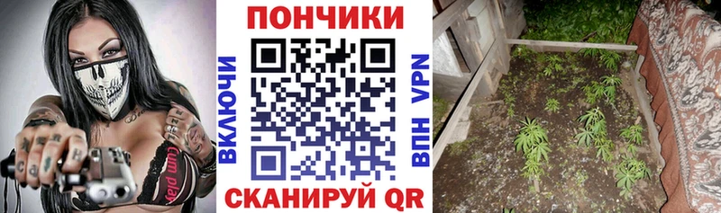 Бошки марихуана VHQ  наркотики  Семёнов 
